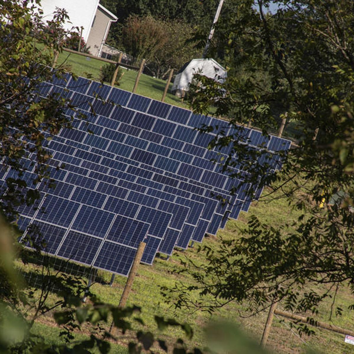 Susquehanna University Incorporates Solar Panels And Sheep To Campus Initiatives Snyder County Dailyitem Com