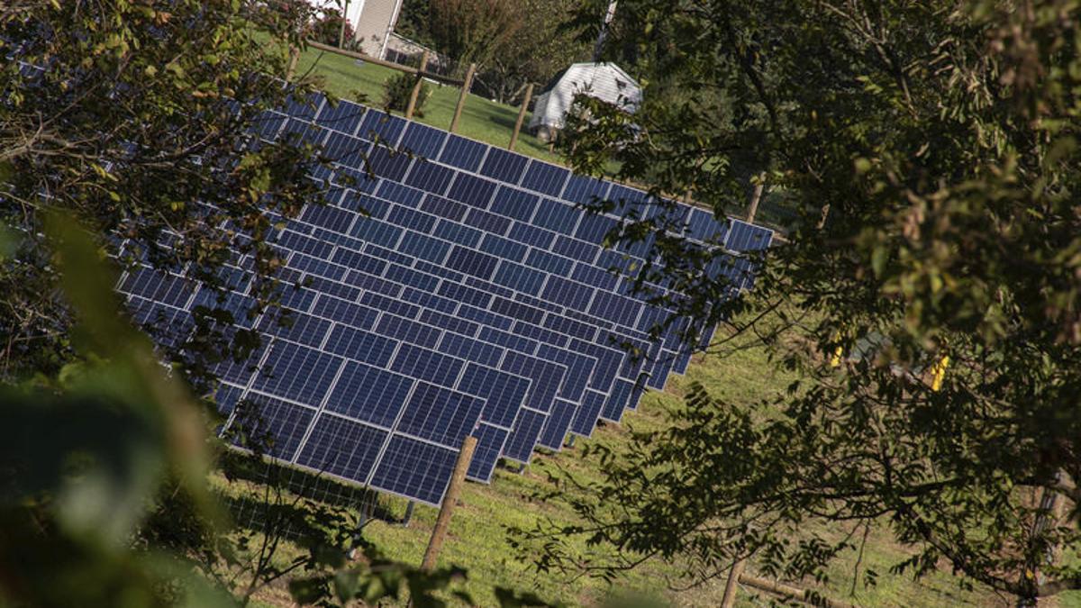Susquehanna University Incorporates Solar Panels And Sheep To Campus Initiatives Snyder County Dailyitem Com