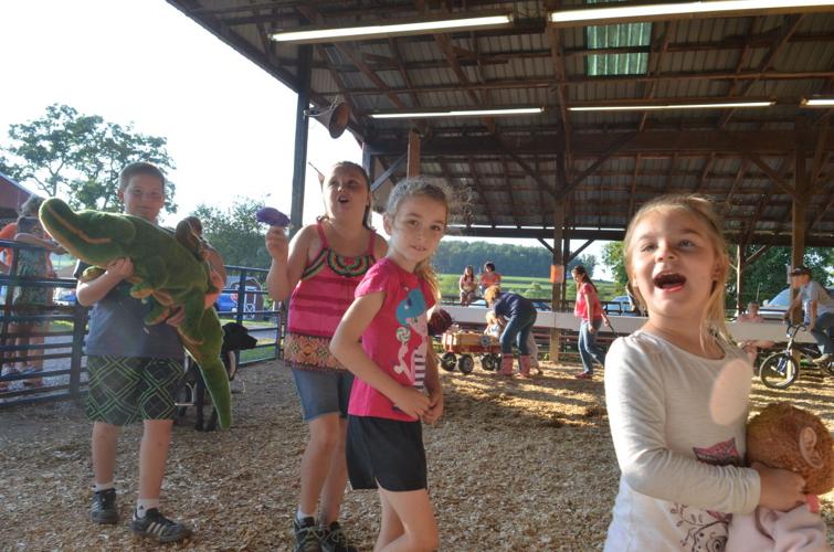 Montour Delong Fair 2014 Gallery