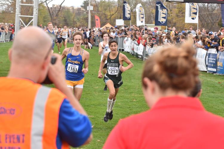 Danville girls race to runner-up finish in state | Sports ...