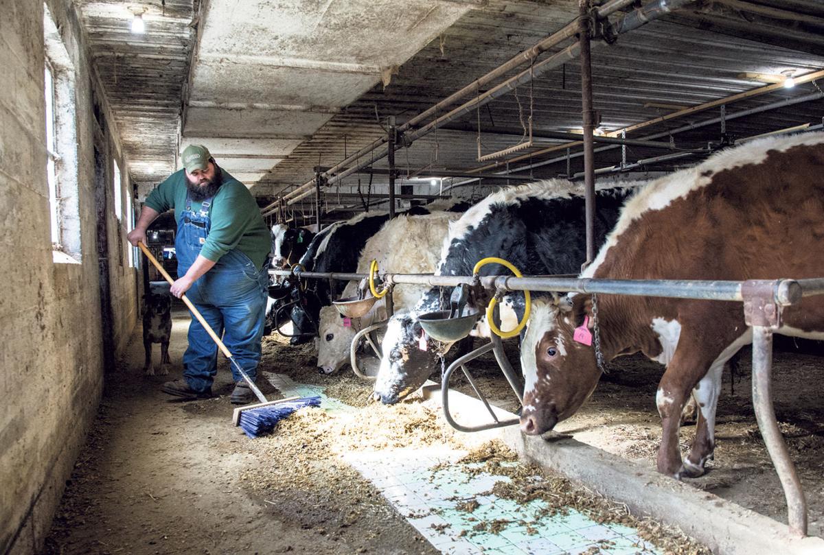 Dropping Milk Prices Jeopardize Dairy Operations In Us And Valley Dropping Milk Prices Jeopardize Dairy Operations In Us And Valley
