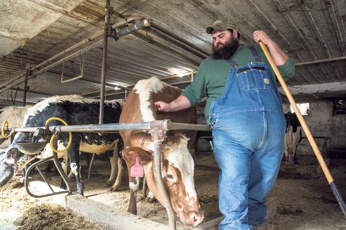 Dropping Milk Prices Jeopardize Dairy Operations In Us And Valley Dropping Milk Prices Jeopardize Dairy Operations In Us And Valley News Dailyitemcom