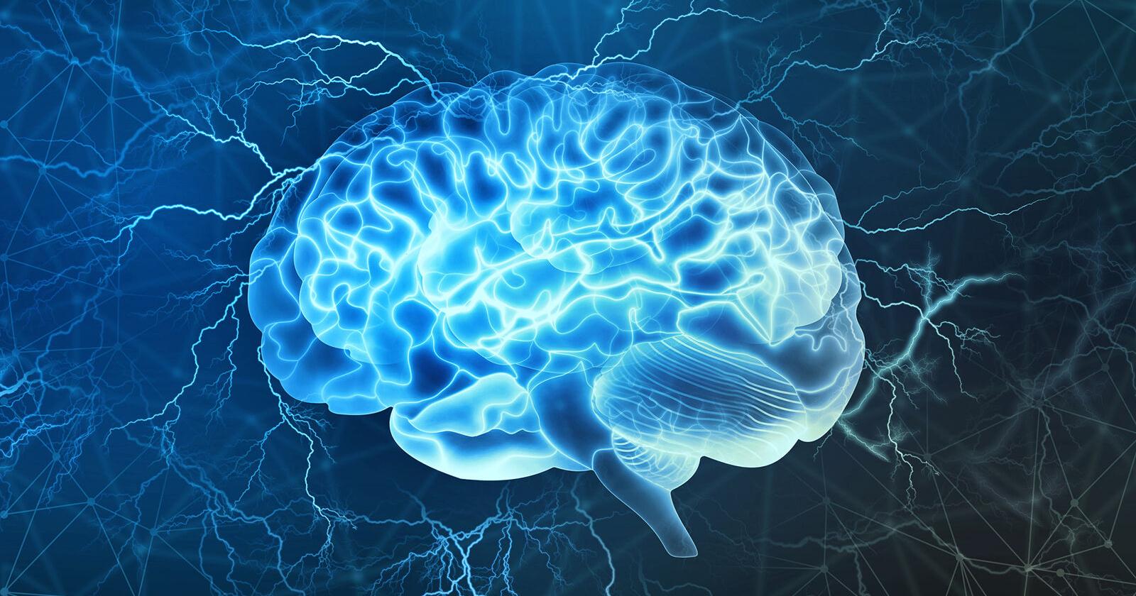 Dancing cells show how the brain awakens from anesthesia - Vimarsana News