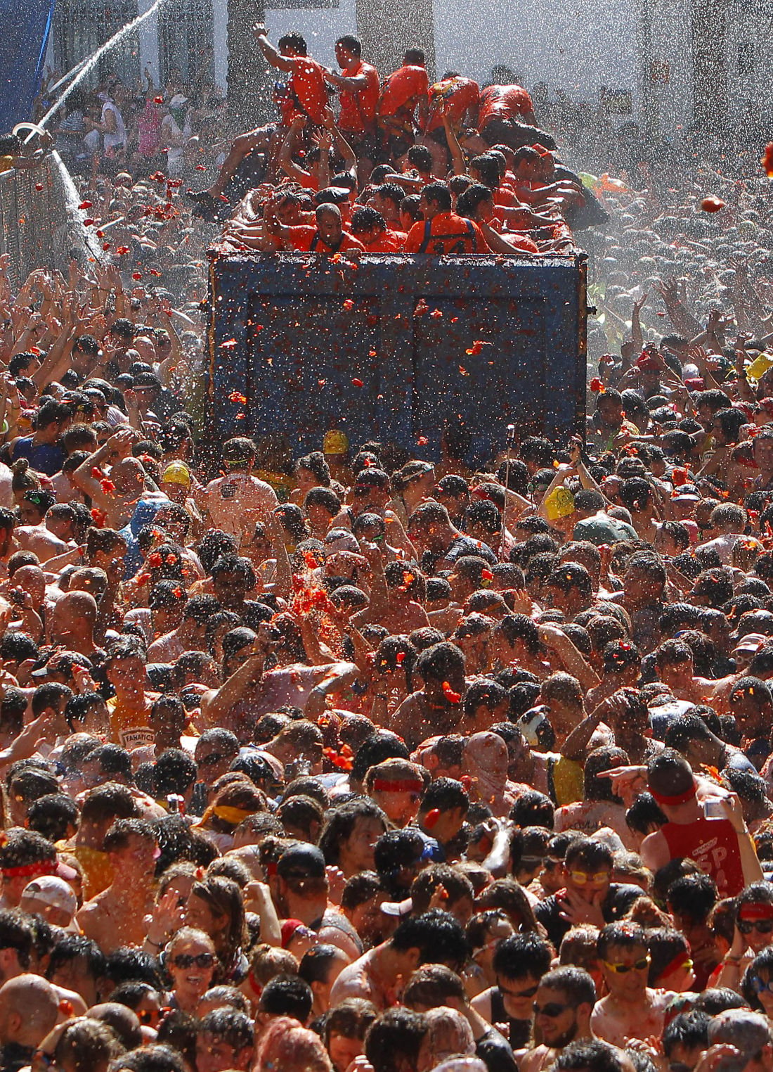 Tomato battle!