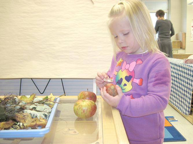 Head Start turns 50 Danville program started in year 1, 1965 News