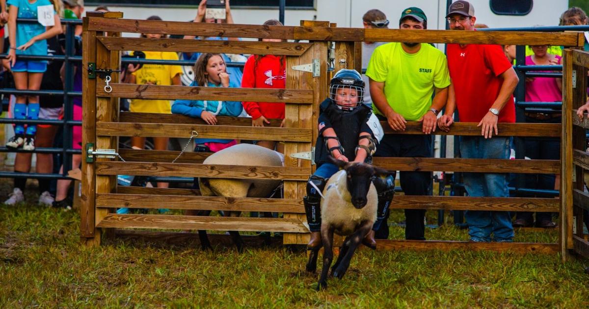 Small Northumberland County Fair has big appeal for visitors Applause
