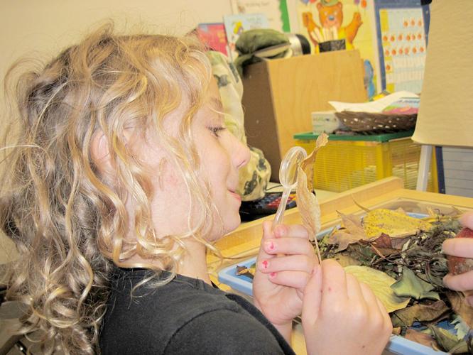 Head Start turns 50 Danville program started in year 1, 1965 News