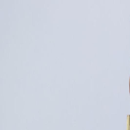 Milton S Long Wins State Pole Vault Title Local Sports Dailyitem Com