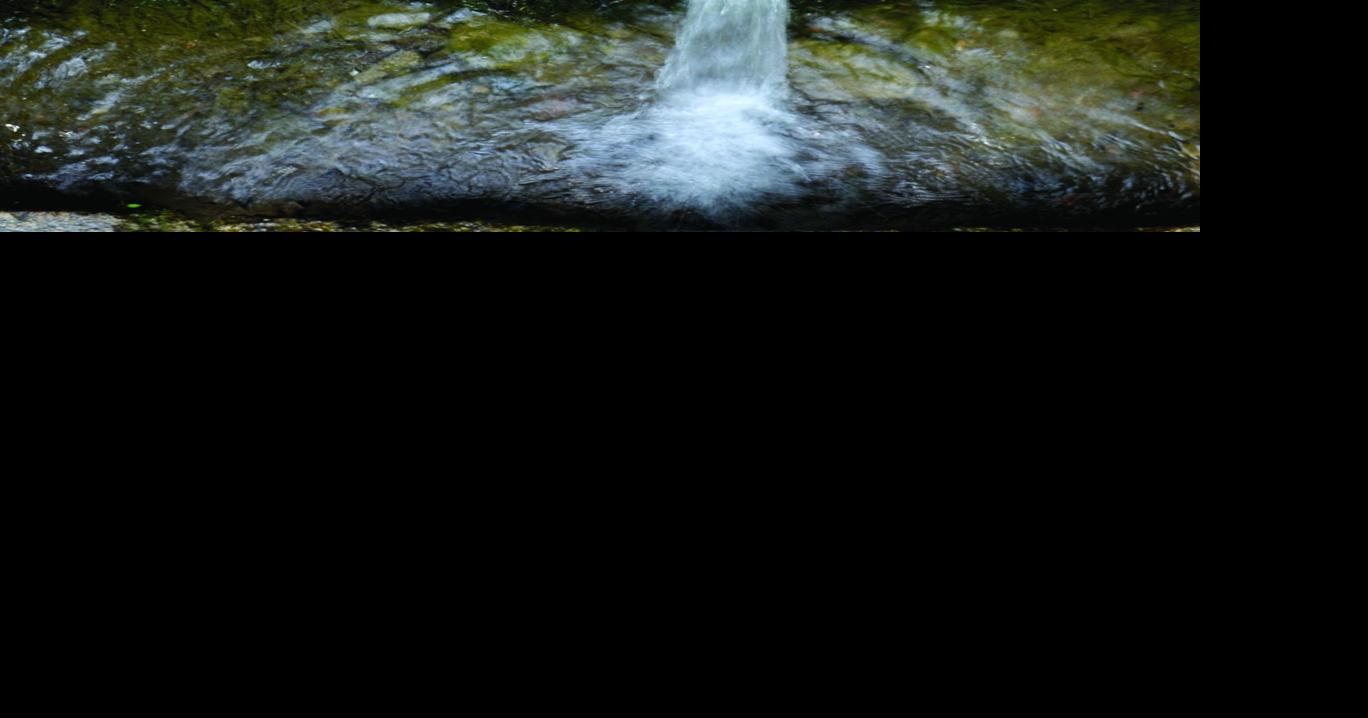Experts: Stay away from roadside springs | News | dailyitem.com
