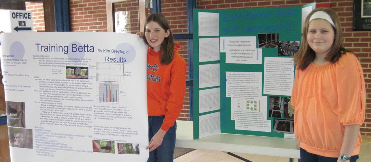 Fish handlers, plant testers reveal science fair projects ...