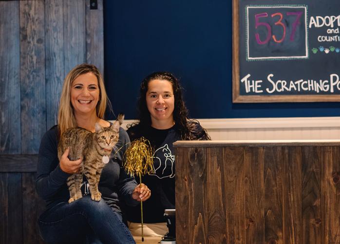 Lewisburg 'café' facilitates cat rescues, snuggles News