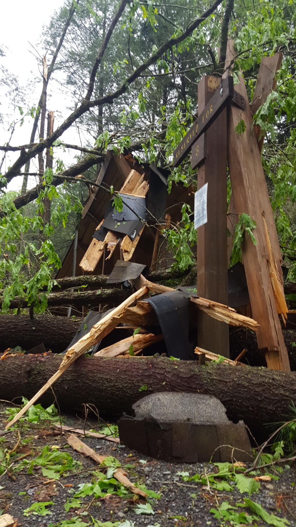 Downburst Not Tornado Damaged Trees At R B Winter News
