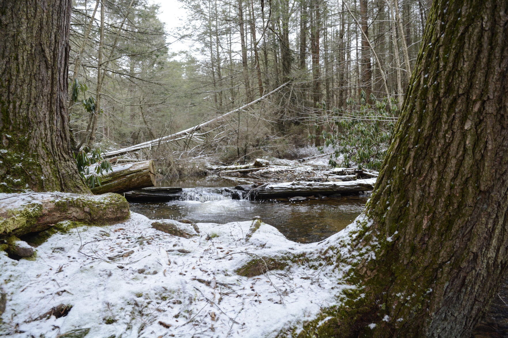 RB Winter To Host First Day Hike | Local News | Dailyitem.com