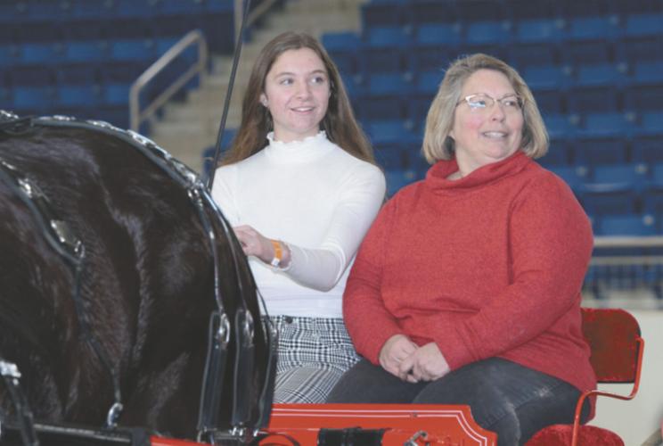 ER doc and 4-H team wins Farm Show draft horse competitions | The ...