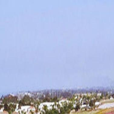 Carlsbad using flowers to hook more tourists into springtime ...