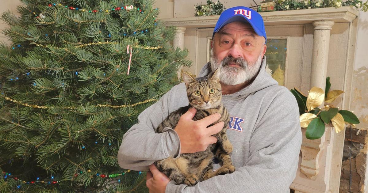 Citizen group clashes with New Berlin council over cats | News Citizen group clashes with New Berlin council over cats | News