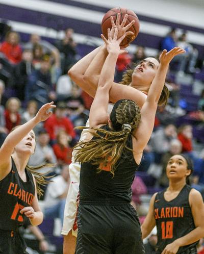 Girls Basketball Player of the Year: Mount Carmel's Renno dominant ...