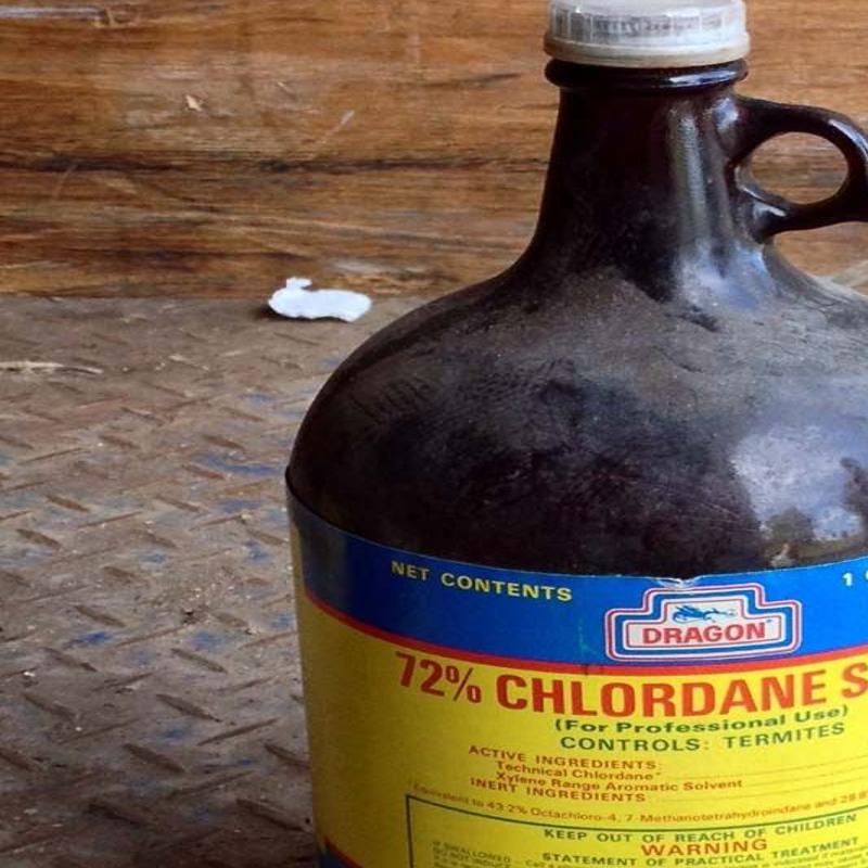 Ridding Gardens Of Pests Without Using Pesticides Lifestyles Dailyitem Com