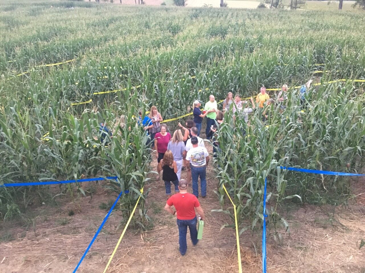 ard's farm pumpkin patch