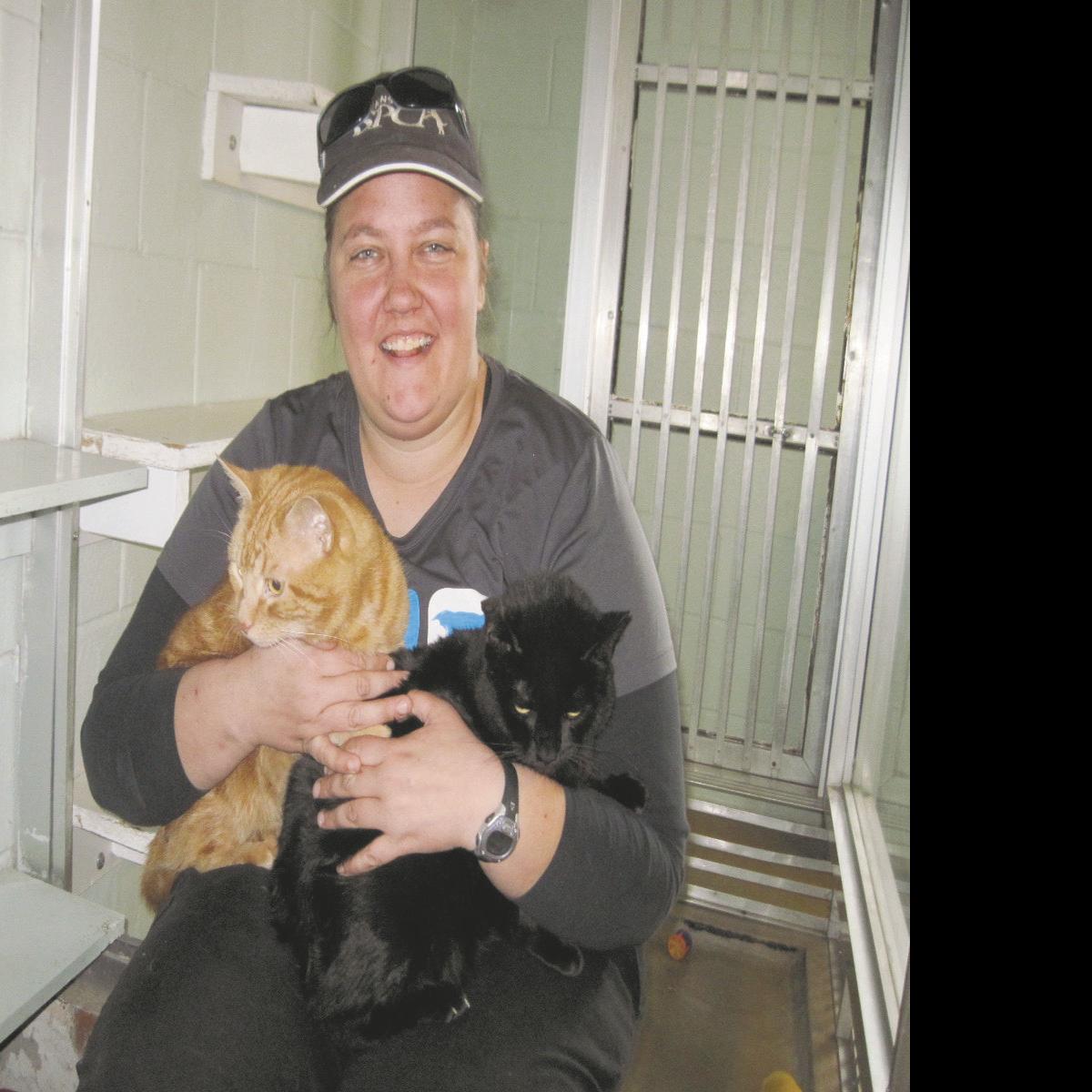 Danville Pspca To Open Low Cost Spay Neuter Clinic Local News Dailyitem Com