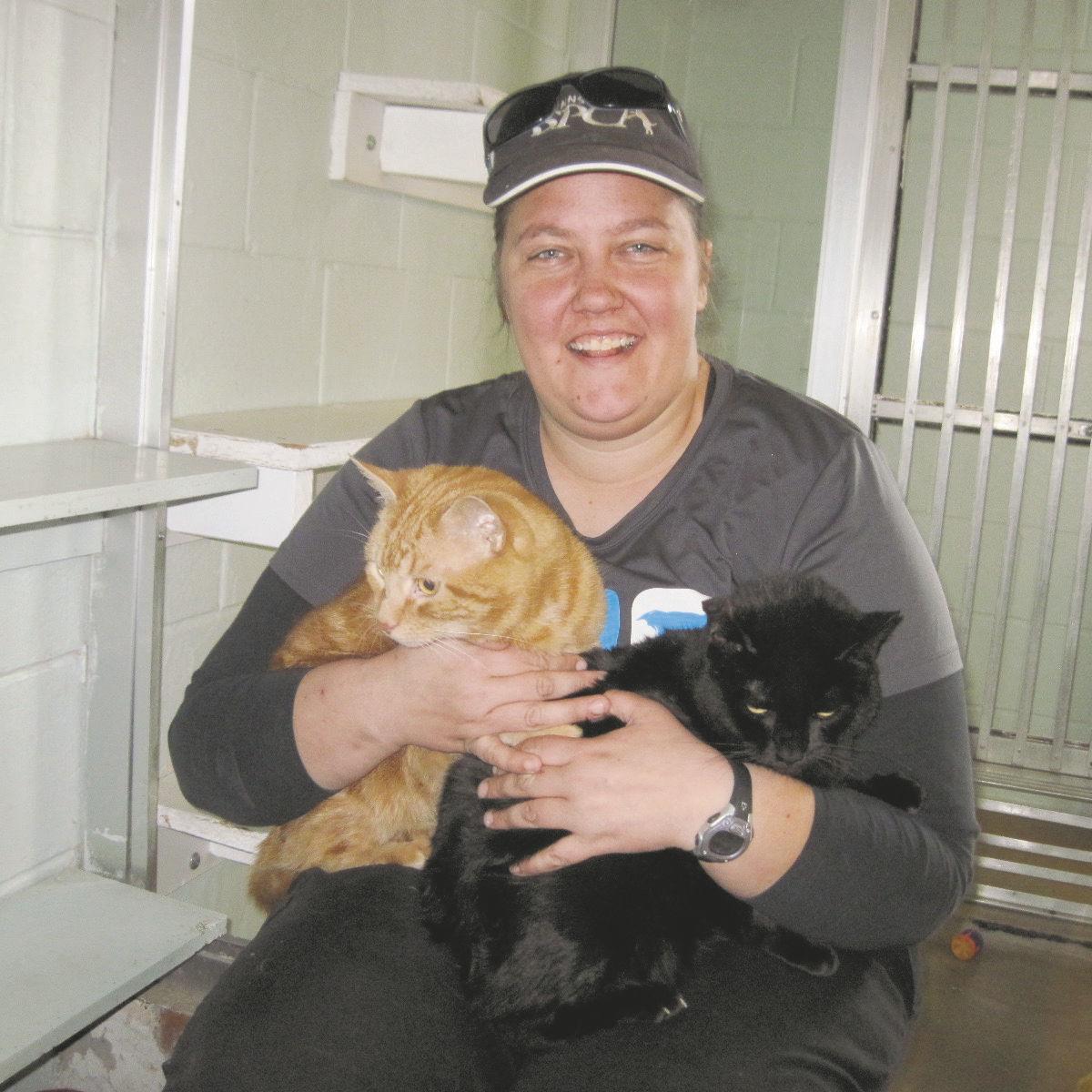 Danville Pspca To Open Low Cost Spay Neuter Clinic Local News Dailyitem Com