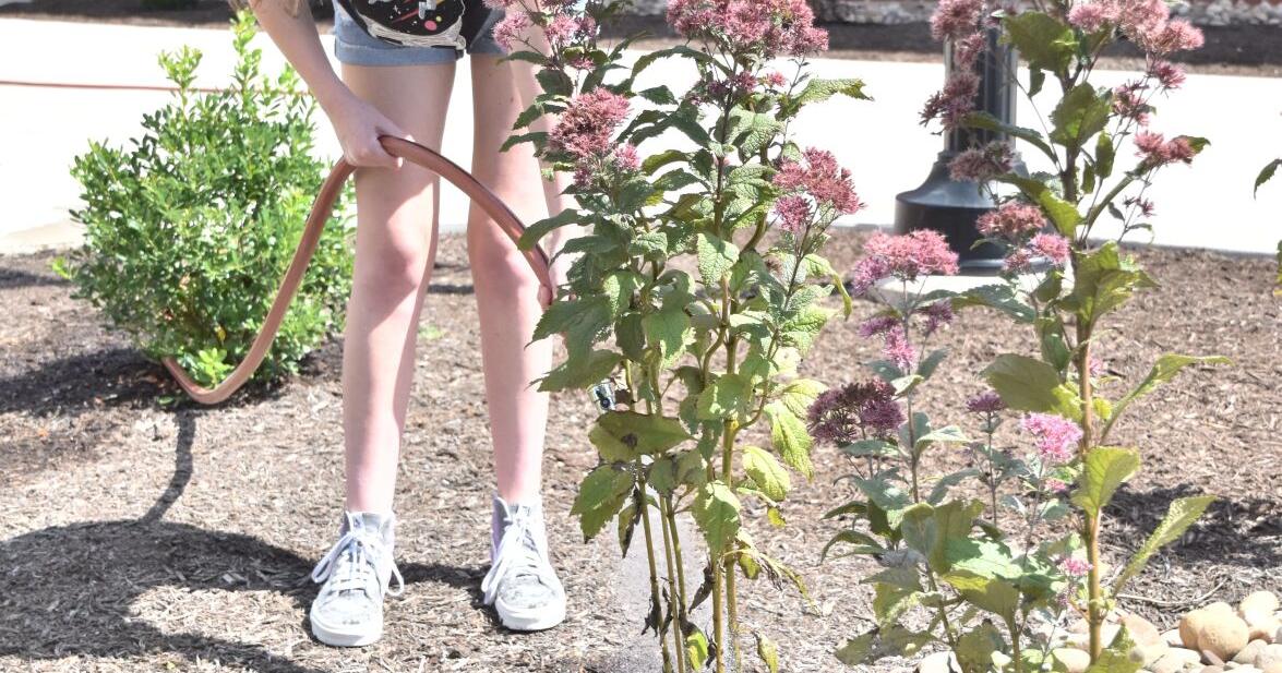 FFA students helped design, build landscaping at Milton stadium | News FFA students helped design, build landscaping at Milton stadium | News