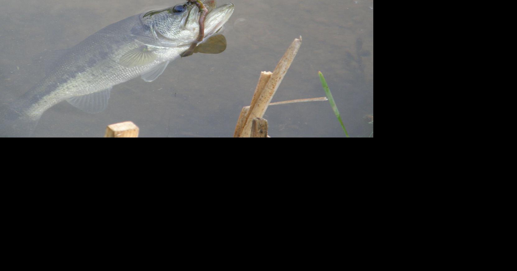 Empty pockets angling