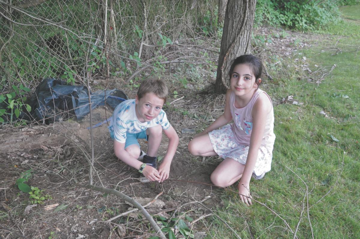 Most Summer Camps In Shutdown News Dailyitem Com