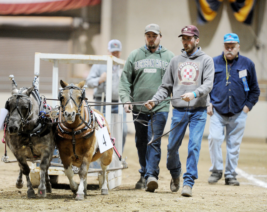 LIVE from the 100th PA Farm Show