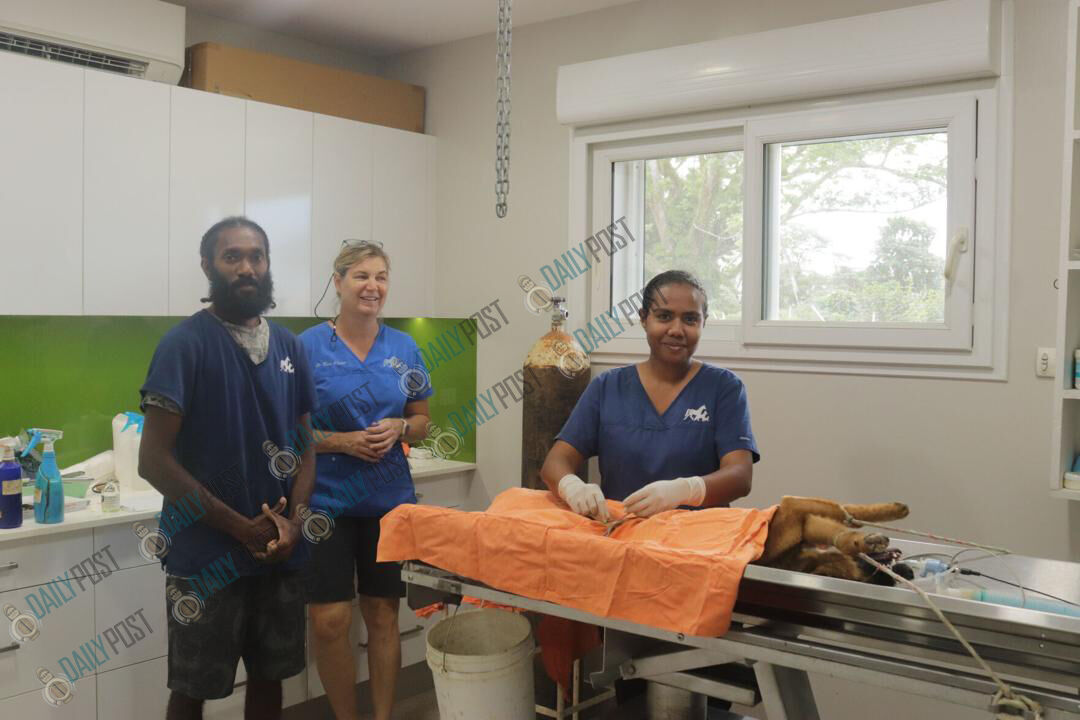 Sams Animal Welfare In Conjunction With Veterinary Clinic Aim To Desex Sams Animal Welfare In Conjunction With Veterinary Clinic Aim To Desex