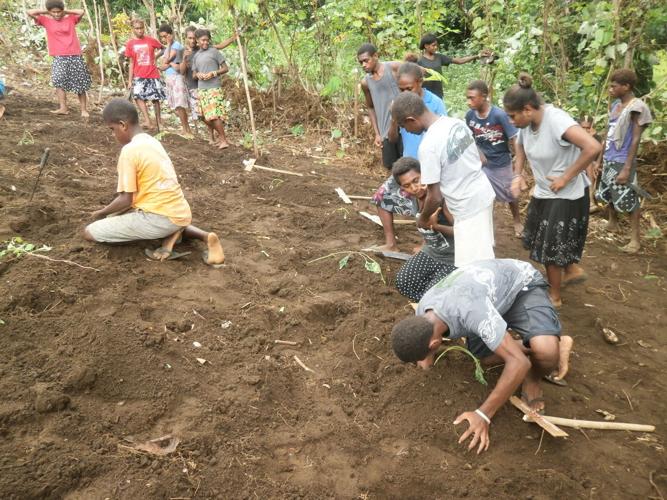 School seeks most suitable kumala planting method | News | dailypost.vu