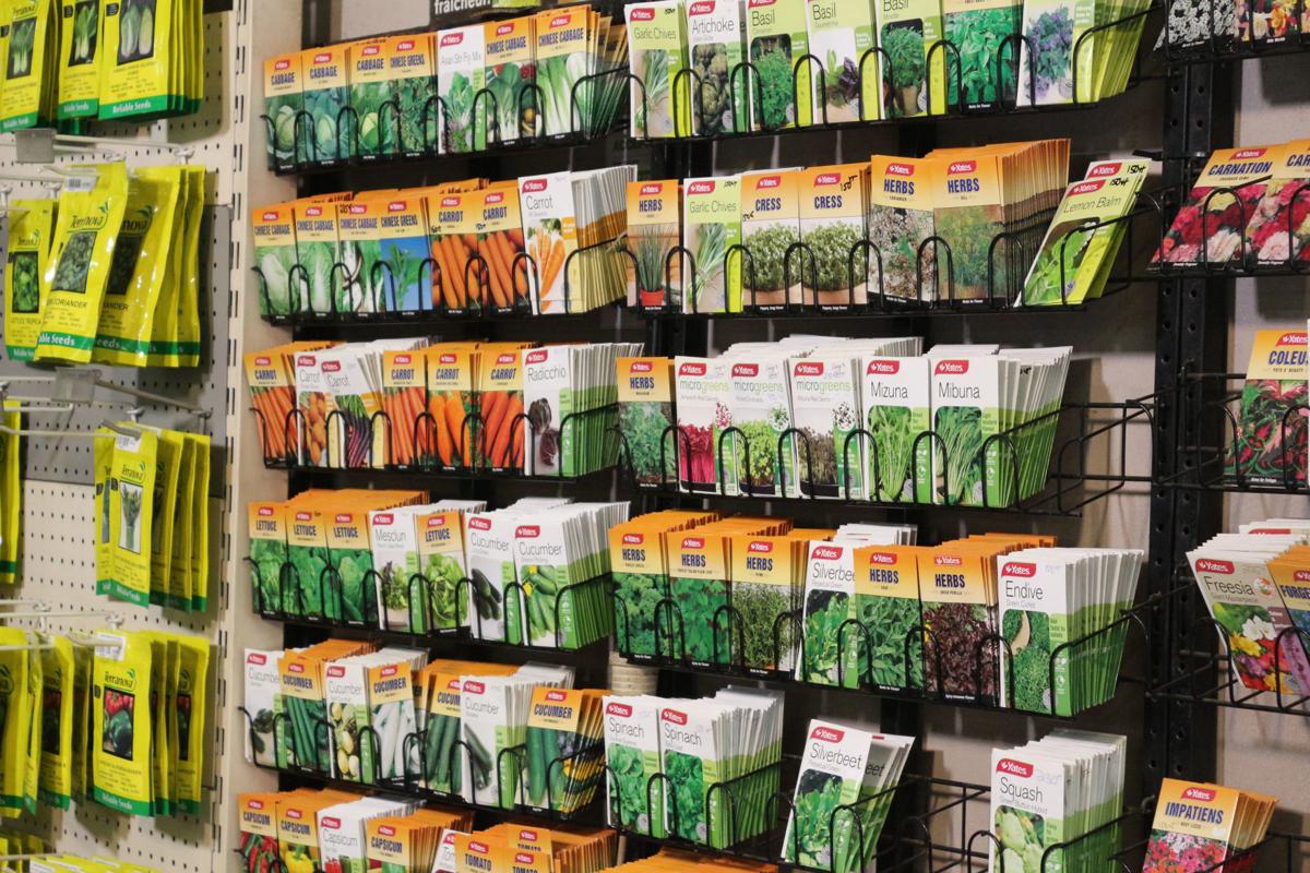 Vanuatu Agricultural Supplies celebrates its 35th birthday with BIG