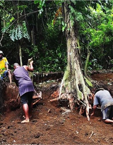 Lowainasasa: the Dreams, Challenges and Pitfalls of Rural Development in Vanuatu