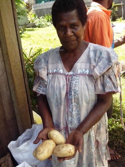 Potatoes on Tanna severly disturbed by dry weather