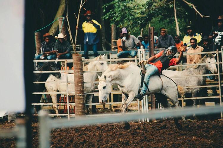 Shonto Rodeo Santo Rodeo a success | Sports | dailypost.vu