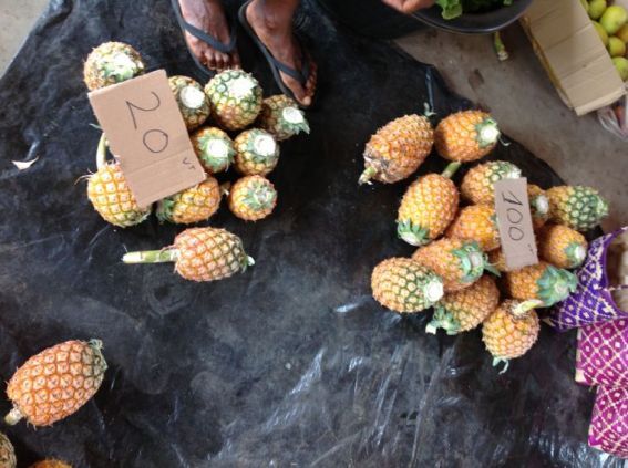 Island market photo caption 2