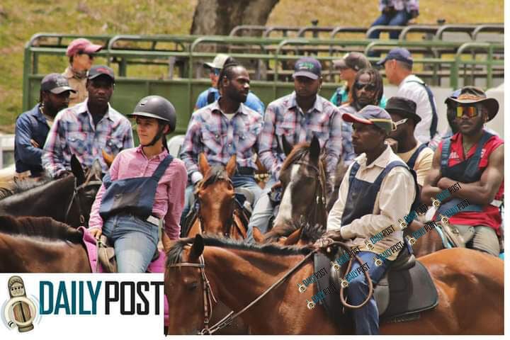 Rodeo and Horses event on Saturday 5th and Sunday 6th October at ...