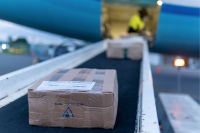International cargo backlogs cleared