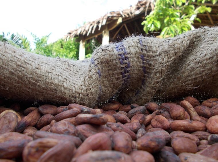 Vanuatu chocolate proves its worth News dailypost.vu