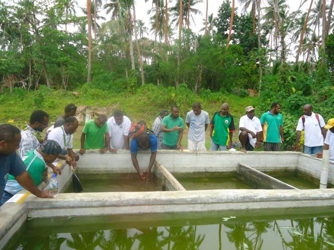 Director says Jesus asked Peter to catch Tilapia News dailypost.vu