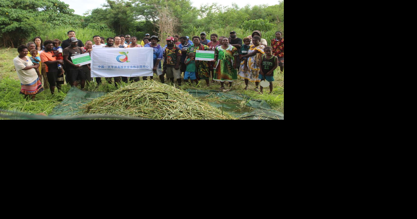 Chinese experts train farmers in vegetable production | News | dailypost.vu