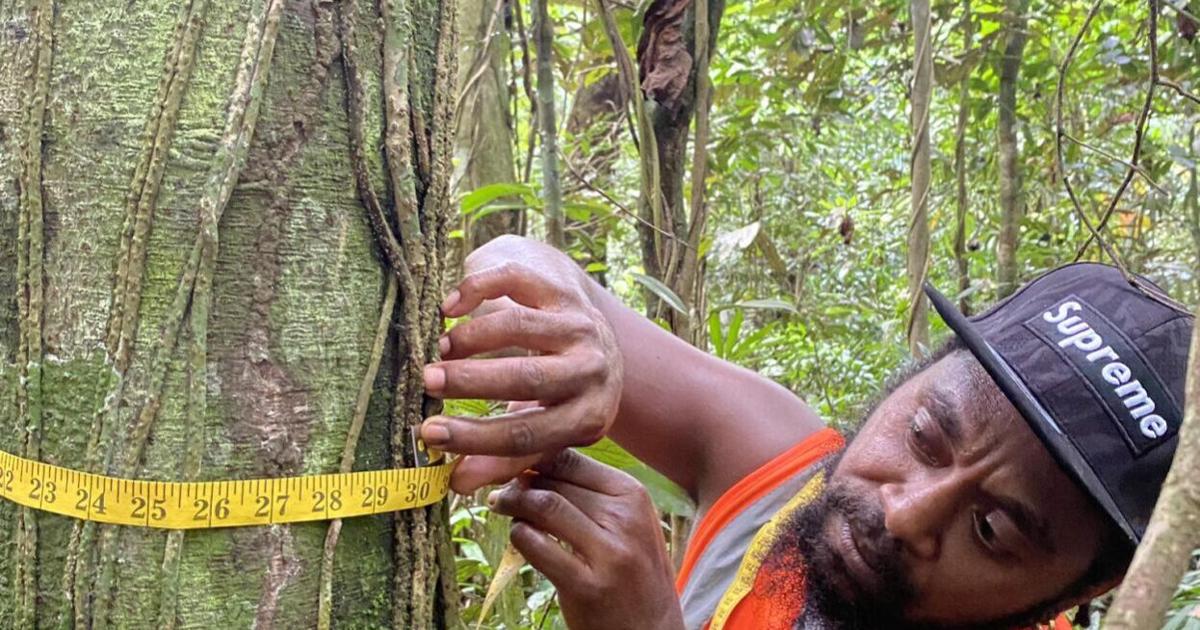 Live & Learn Vanuatu set to revolutionise conservation efforts with new ...