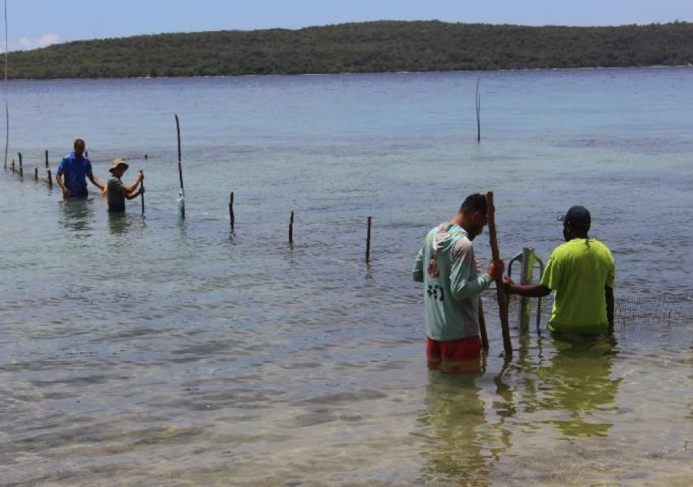 Vanuatu hosts South-South Sea Ranching Training | News | dailypost.vu