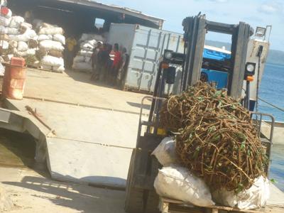 Interisland Shipping Support Project Gets Funding Boost