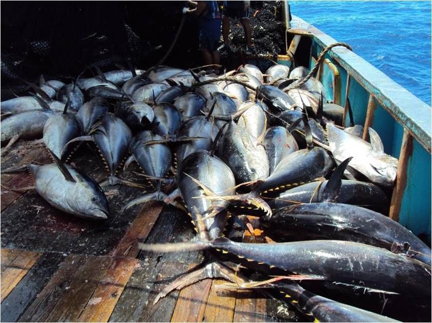 fishing in global waters can fishing fishing in global waters can fishing