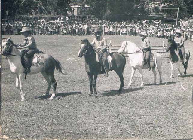 RECENT HISTORY OF THE PORT VILA RODEO – 1978 to 2018 | News | dailypost.vu