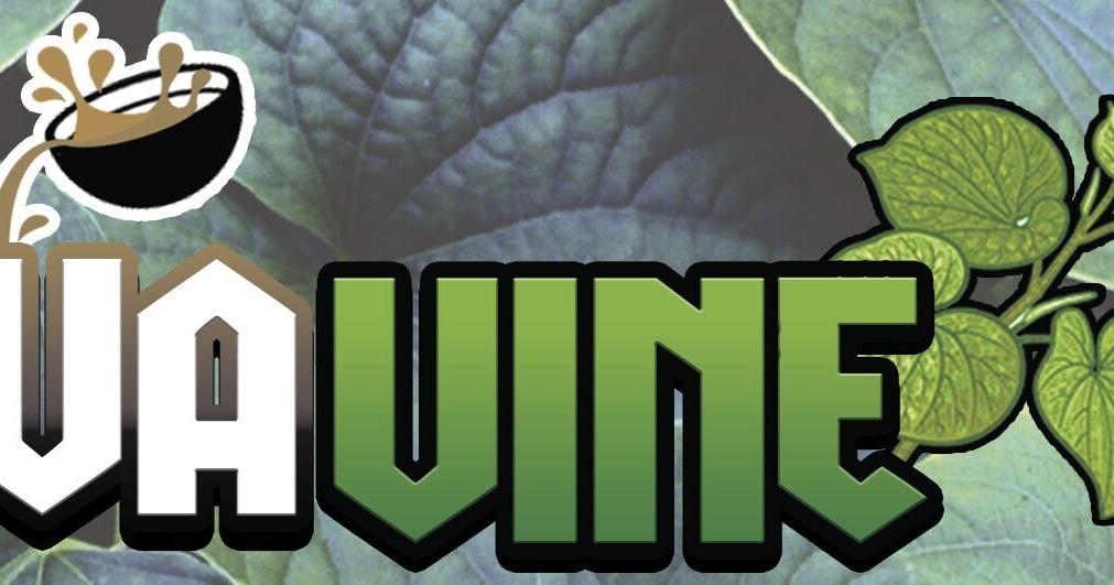 Red Flower – the wallet-friendly kava bar - Vimarsana News