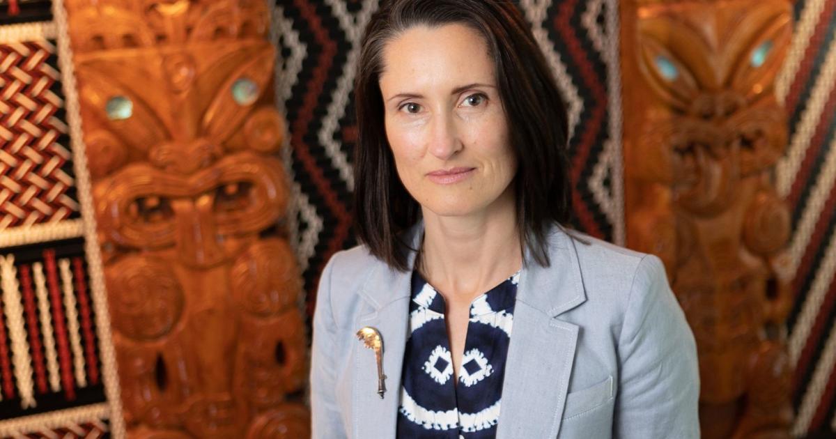 Mehaka Rountree New NZ High Commissioner commends Vanuatu, NZ partnership | News ...
