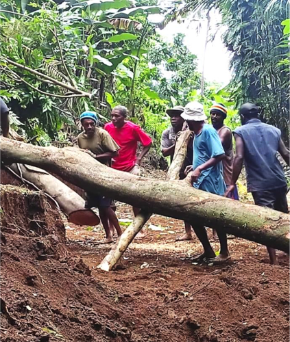 Lowainasasa: the Dreams, Challenges and Pitfalls of Rural Development in Vanuatu
