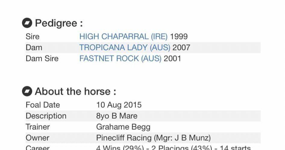 Pinecliff Racing Manager responds to rumours about racehorse named Vanuatu - Vimarsana News